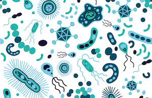 Diversity of the Microbiome Has Plummeted from Gut-Brain Secrets